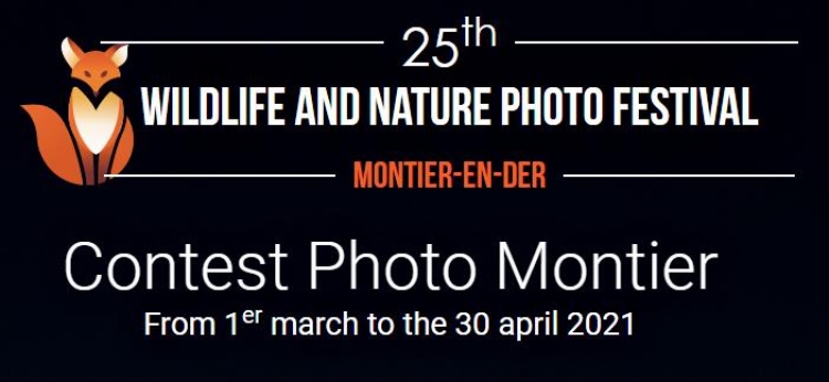 Конкурс фотографий дикой природы Montier