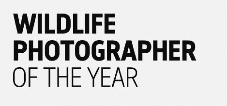 Конкурс «Юный фотограф дикой природы»