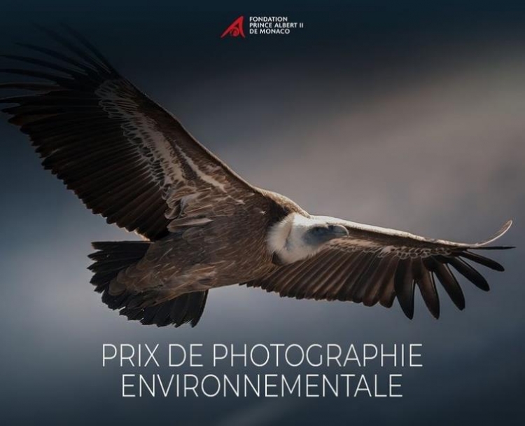 Фотоконкурс «Environmental Photographer of the Year 2022»