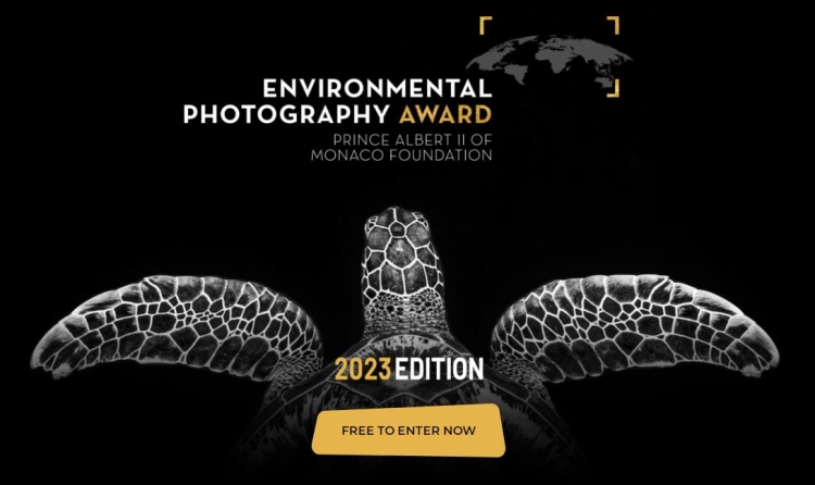 Фотоконкурс «Environmental Photographer of the Year 2023»