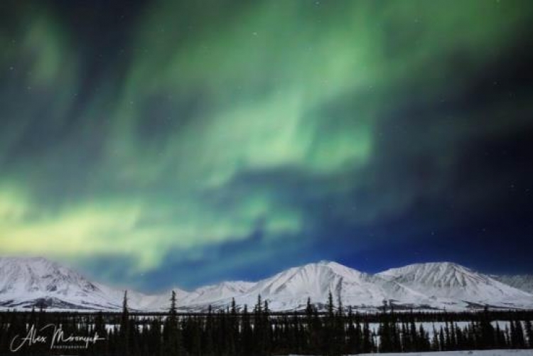 Фототур «Погоня за Северным Сиянием на Аляске»