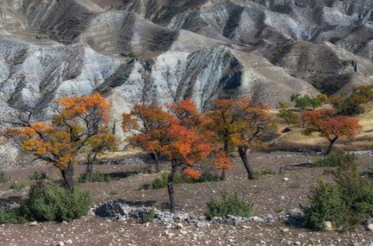 Фототур «Золотая осень в горном Дагестане»