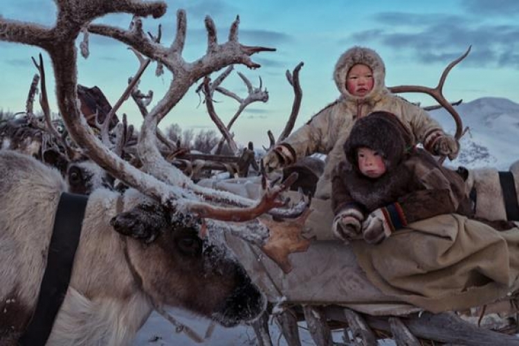 Фототур «В гости к ненцам-оленеводам Ямала»