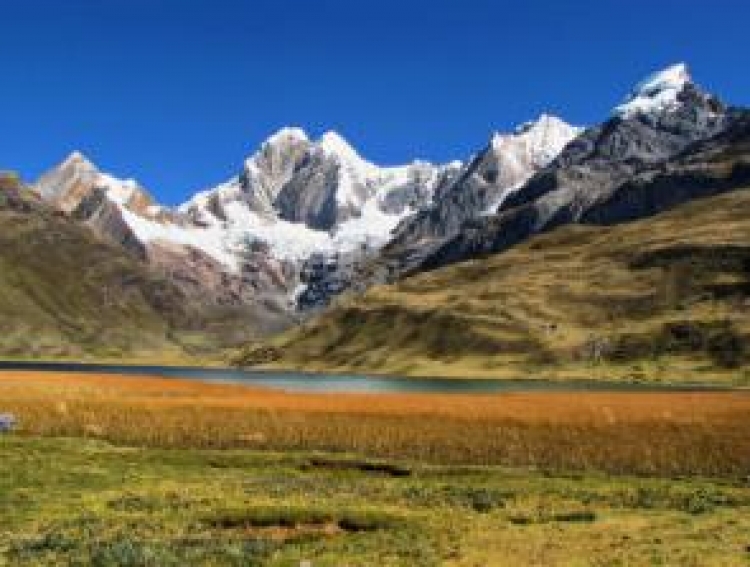 Фототур в Перу «Снежные Анды и парк Паракас»