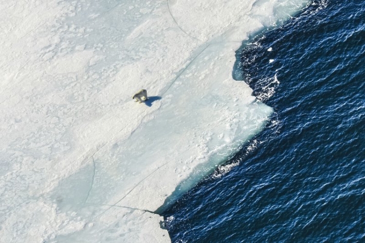 Фотовыставка «Арктика с воздуха»