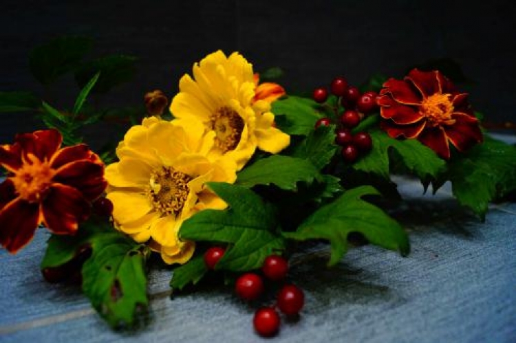 Фотоконкурс «Букет осенних цветов»