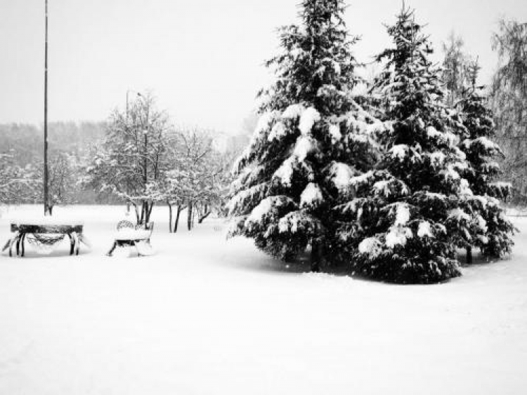 Фотоконкурс «Декабрь — начало зимы»