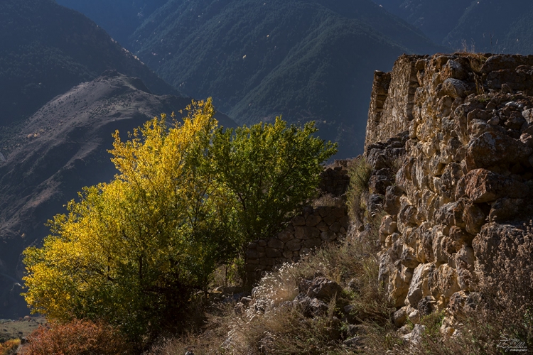Фототур «Осень в Дигории. Национальный парк Алания. Северная Осетия»
