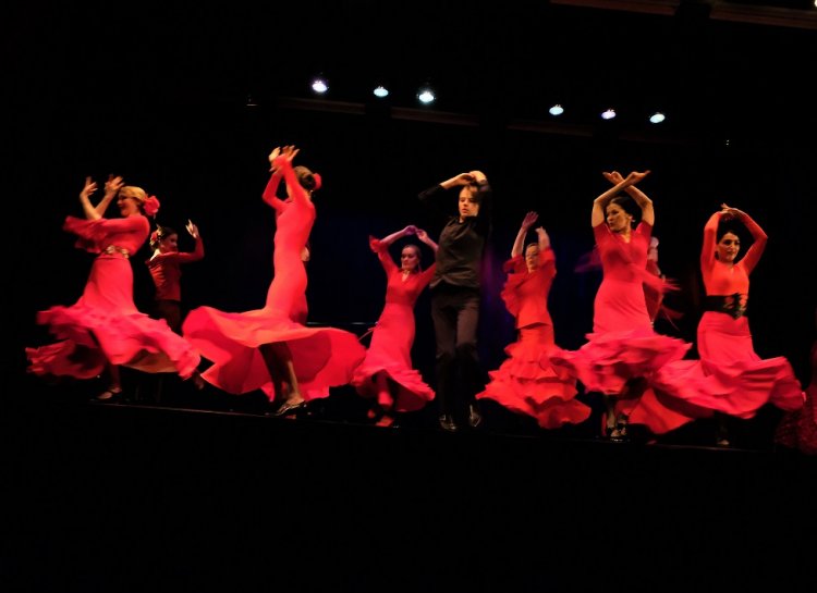 Фотовыставка «Фламенко. Flamenco» Фотовыставка «Фламенко. Flamenco»