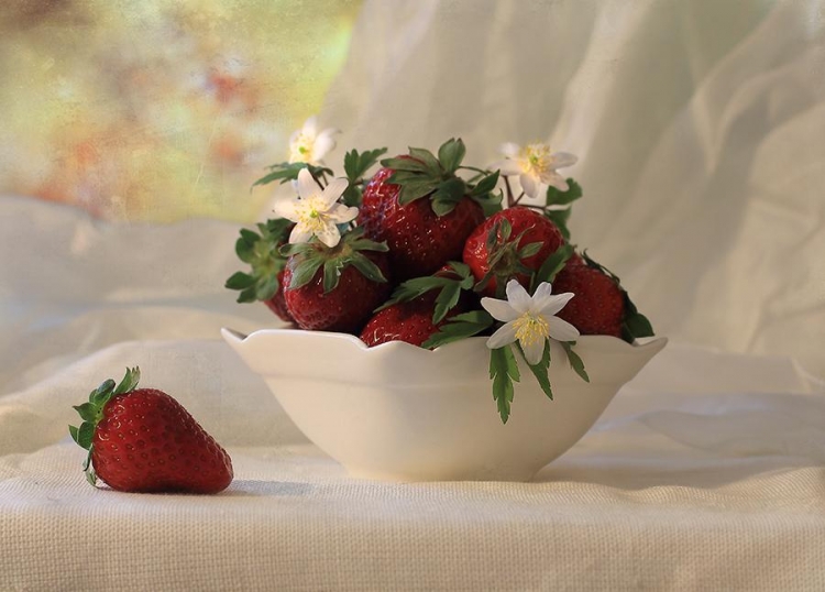 Фотоконкурс «Натюрморт с цветами и фруктами»
