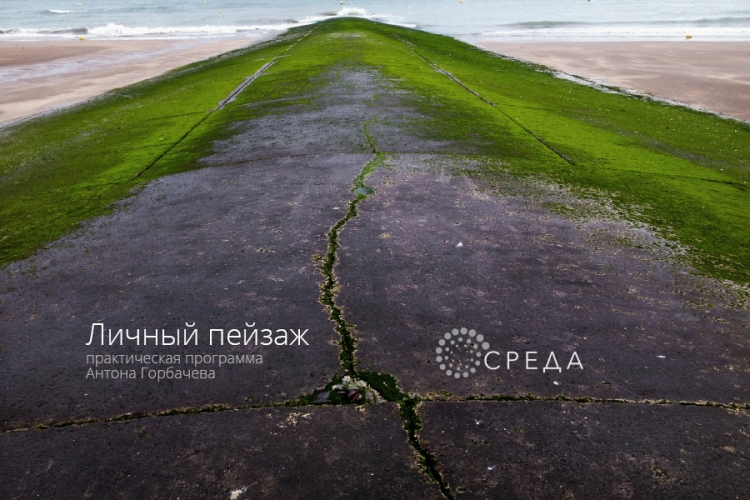 Мини-курс Антона Горбачева «Личный пейзаж»