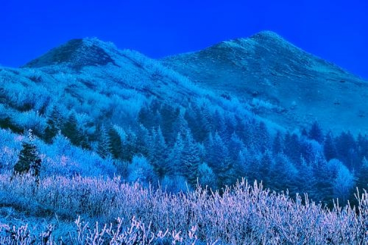 Фотоконкурс «Зима в горах»