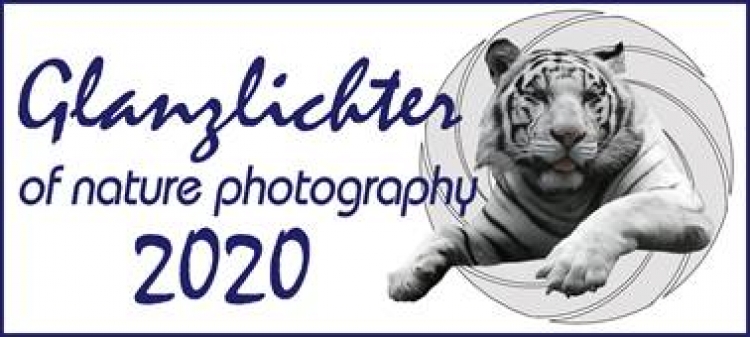 Конкурс фотографии природы Glanzlichter 2020