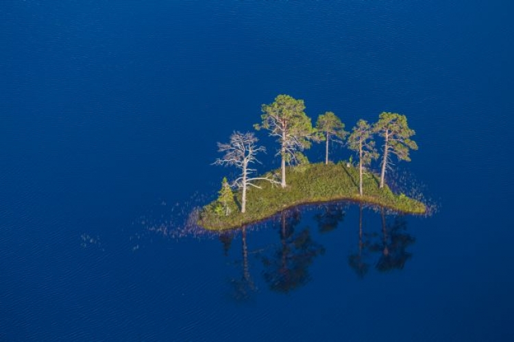 Всероссийская фотовыставка «Источник обновления»