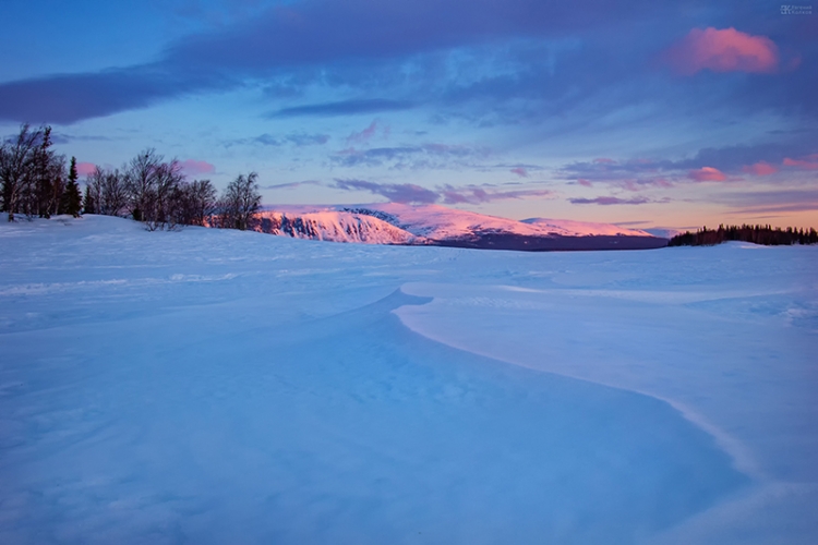 Фотопленэр «Приемы съемки зимнего пейзажа»