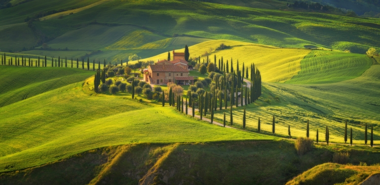 Фототур в Тоскану «Изумруд весенних полей»