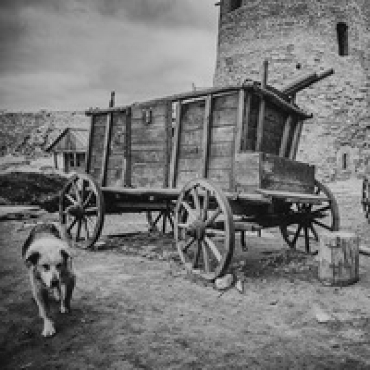Фотоэкспедиция в Изборск