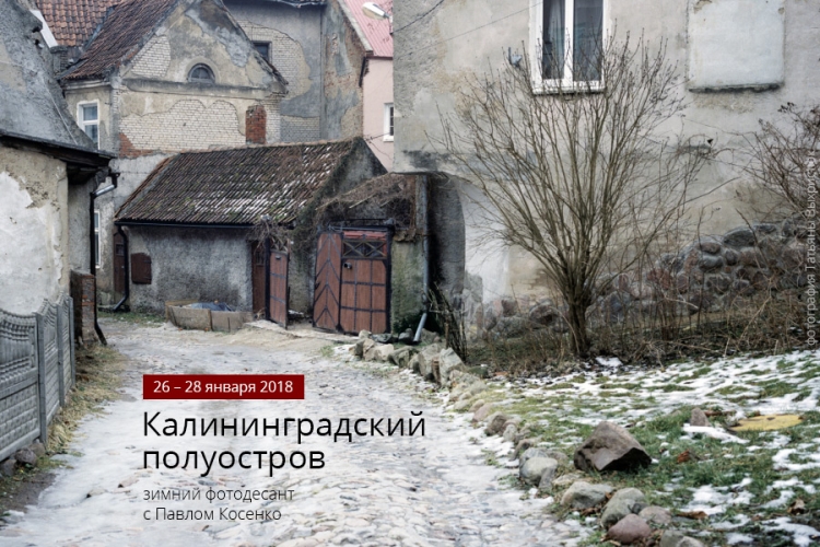 Зимний фотодесант с Павлом Косенко «Калининградский полуостров»