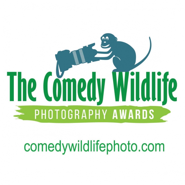 Фотоконкурс «The Comedy Wildlife Photography Awards»