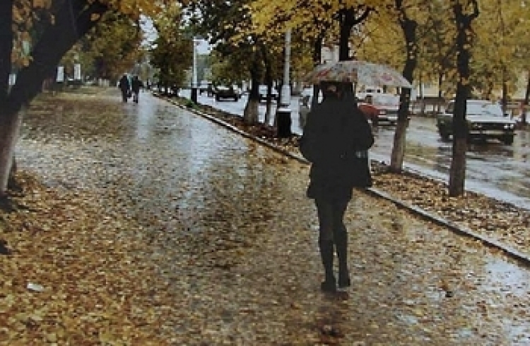 Фотовыставка «Осень в городе»