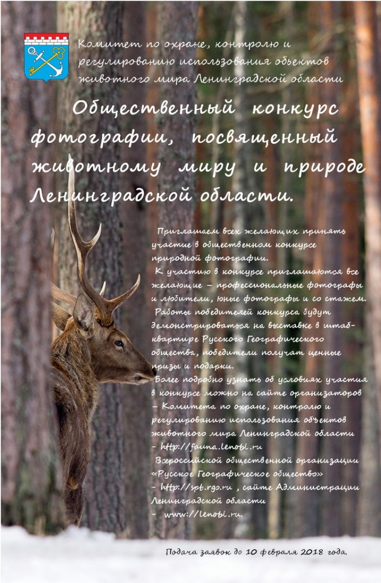 Фотоконкурс о природе Ленинградской области