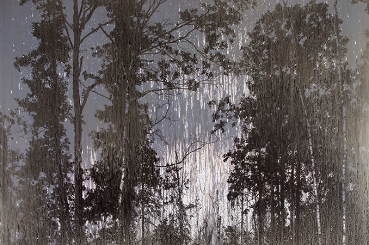 Выставка Мэттью Брандта «Таинственный лес»