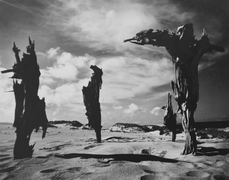 Диалог Льва Аннинского и Ирины Чмыревой «Литовская школа фотографии»