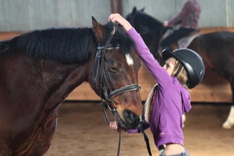 Фотоконкурс «Любовь к лошадям»