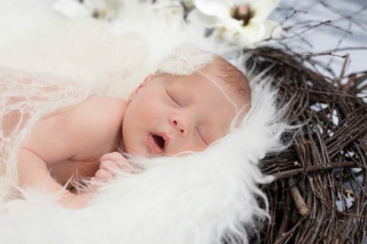 Фотоконкурс «Спящий младенец»