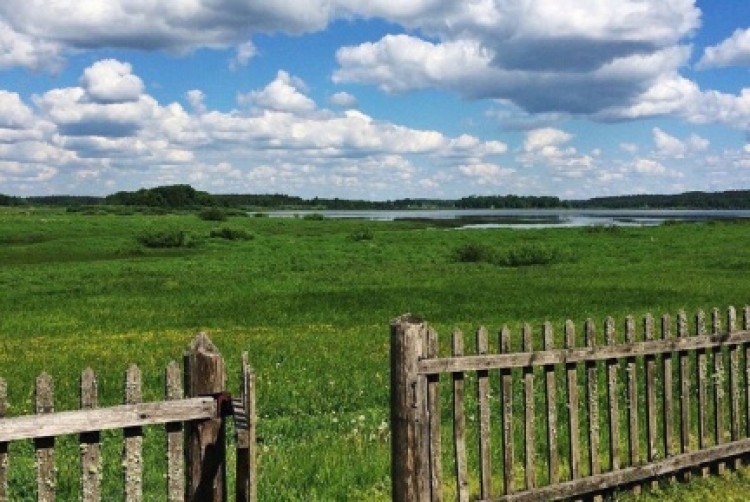 Мастер-класс «Мобильная фотография»