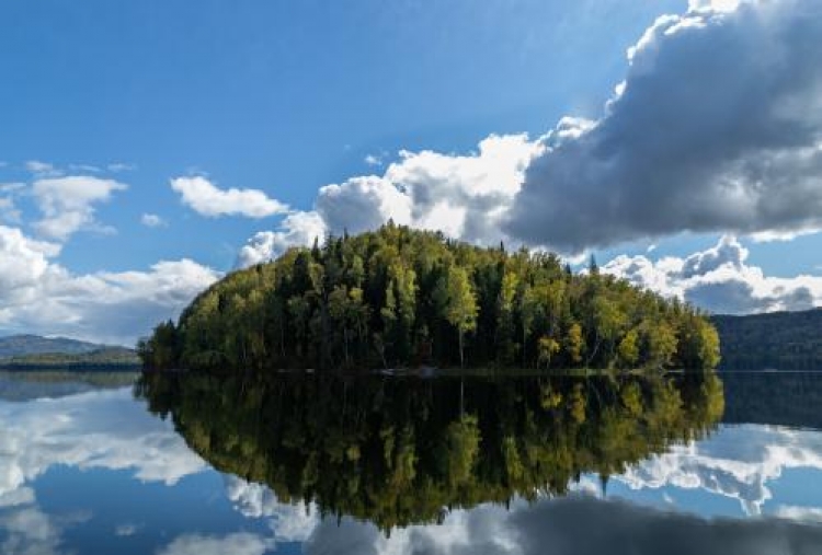 Фотоконкурс «Фотографии отражения»