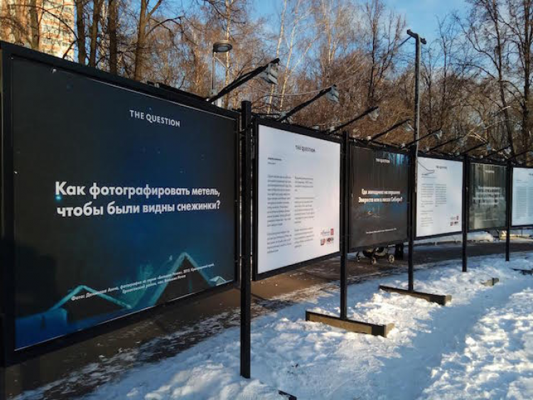 Выставка «10 вопросов о зиме»
