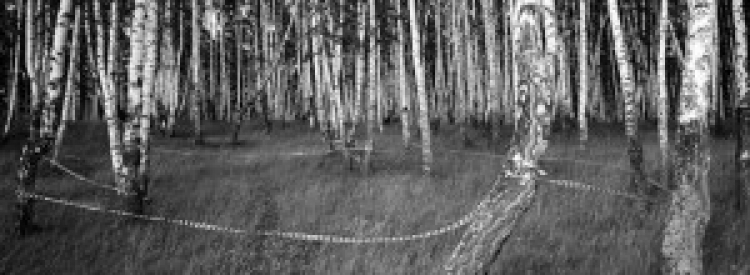 Лекция-диалог «Родина и фотография»