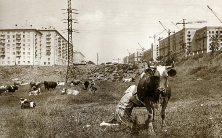 Выставка «Россия. ХХ век в фотографиях. 1946-1964 гг.»