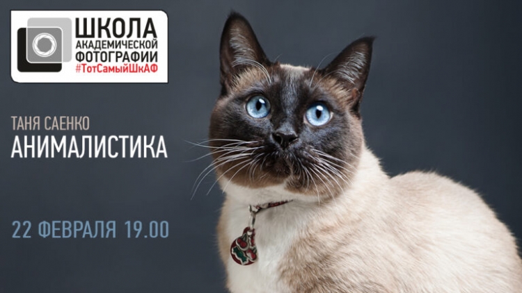 Открытая лекция Тани Саенко «Анималистика»