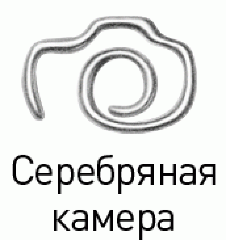 Конкурс «Серебряная камера»