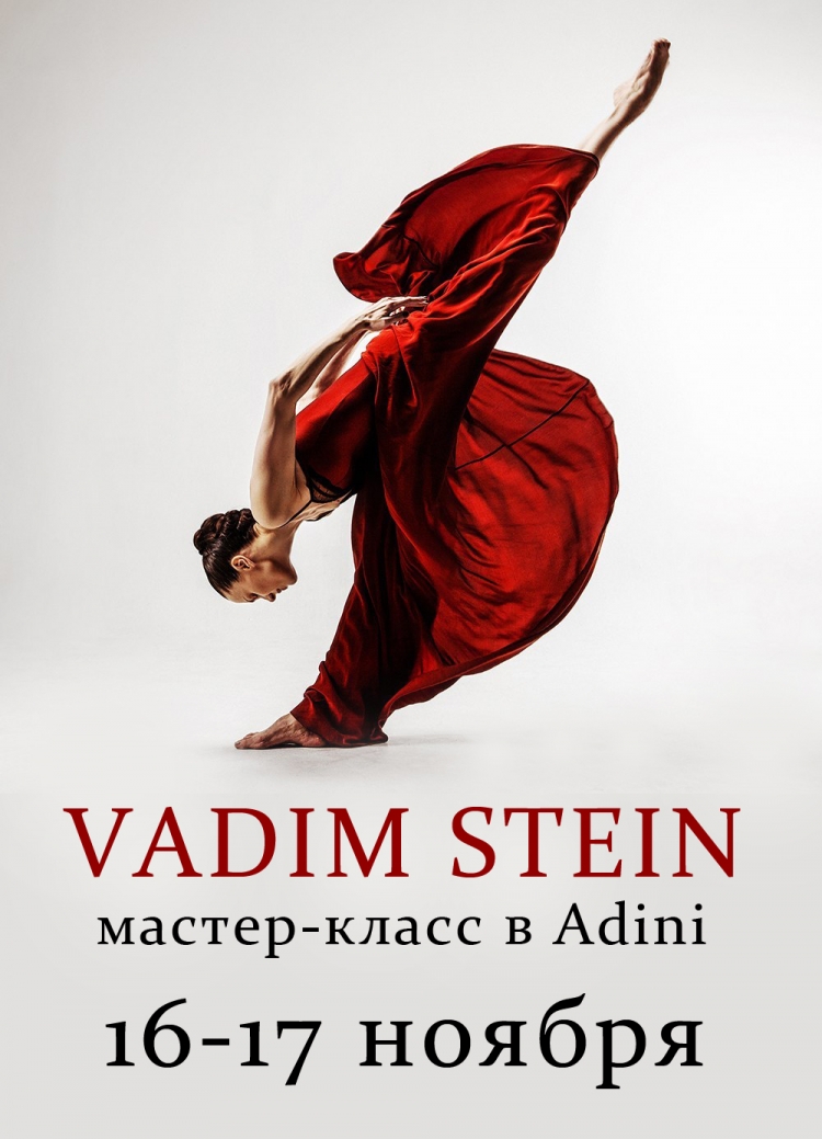 Мастер-класс Vadim Stein