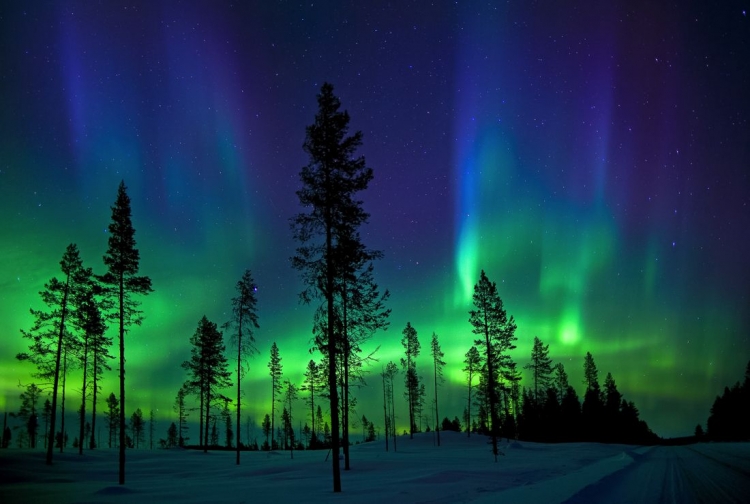Фототур «Териберка: в погоне за Aurora Borealis»