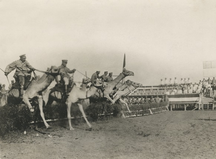 Выставка «Война и Мир. На заре фотожурналистики. 1910-е годы»