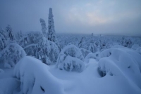 Фототур «Зима на Кольском полуострове. Терский берег»