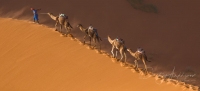 Фототур в Марокко «От Атлантики до Сахары»