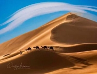 Фототур в Марокко «От Атлантики до Сахары»
