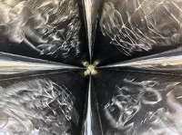 Конкурс абстрактной фотографии «ABSTRACT» Конкурс абстрактной фотографии «ABSTRACT»