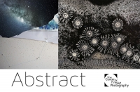 Международный конкурс «Abstract»
