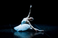 Лекция о современной фотографии балета