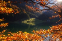 Фототур в Швейцарию «Альпийская осень»