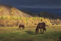 Фототур на Алтай «Золотая осень»