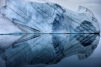 Экскурсия по выставке «Чистая Арктика Себастьяна Коупленда»