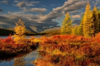 Фототур «Золотая осень на озере Джека Лондона»
