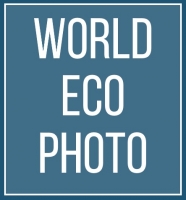 Экологический фотоконкурс World Eco Photo 2019